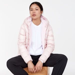 aritzia teddy puffer